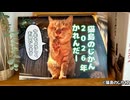猫島のじかん2026年壁掛け＆卓上カレンダー販売中