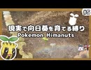 【ポケモンXY】ヒマナッツがひんしになったら『現実で向日葵を育てる縛り』（Part⑤）