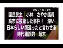 25・10・23   益々大嫌いになった。玉木の目は無いのだから　自分の信念で自由に投票させろよ。嘘を吐かせる党大嫌い！　消えて無くなれ。また判断を間違ったね。