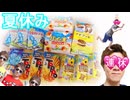 【工口ッテ】夏休み限定の犯しを全種類食べて出して踊ってみた！
