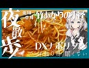 【夜散歩】三河地方のDXイタリアンとかいうナポリタンの上位互換【午前0時 眠くない】