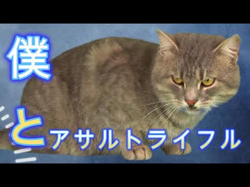 【プーン歌唱】僕とアサルトライフル【オーケストラアレンジ】