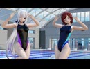 【MMD】『V』／HIMEHINA × 弱音ハク・MEIKO