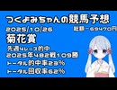 【2025菊花賞】つくよみちゃんの競馬予想