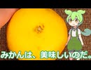 【ずんだもん実況】みかんを実況してみた。（VOICEVOX使用）