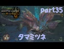 【独り言実況】ゲーム内方向音痴はもう喘がない？？モンハンワイルズ【Part35】