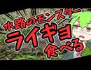 お腹がすいたら雷魚食べればいいじゃない