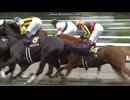 2011 菊花賞　オルフェーヴル