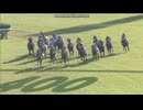 2020 菊花賞　コントレイル