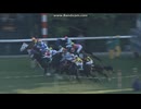 2020 アルテミスステークス(GIII)　ソダシ