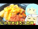 #174 じゃがそぼろ＋二色丼 ゆっくりヘイホー