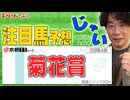 1026niconico菊花賞