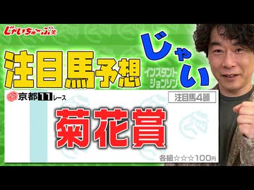 1026niconico菊花賞