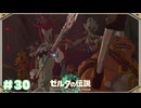 【ティアキン】リンクはもう「一人」じゃない！#30【ゼルダの伝説 ティアーズオブザキングダム】