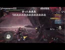 ミラボレアス討伐しました