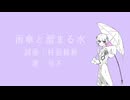 雨傘と溜まる水/可不