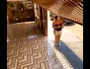 ホモと見る歩きスマホをしていて倉庫に格納されるおばさん