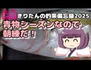 きりたんの釣果備忘録 2025　青物シーズンは朝練だ