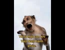 HOÀNG SA VÀ TRƯỜNG SA LÀ CỦA TỈNH HẢI NAM