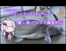 ちょっとそこまで釣～りんぐ 霞ヶ浦アメナマ調査釣行【結月ゆかり】