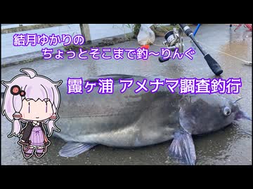 ちょっとそこまで釣～りんぐ 霞ヶ浦アメナマ調査釣行【結月ゆかり】