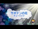 サボテンの花 / チューリップ　財津和夫 [歌える音源] (歌詞あり　1975年 ドラマ主題歌 ガイドメロディーなし　オフボーカル　karaoke)