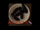ありがとナス
