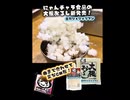 【ネタ動画】大根おろし【くだらないオープニング】