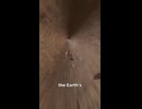 ホモと見る地球の裏側まで穴を掘って飛び込む実験