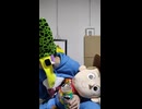 京王動物園線〔高幡不動駅・多摩動物公園駅（東京都・関東地方）〕の鉄道事故・人身事故・電車と人がぶつかる接触事故・列車と車と人の衝突事故・列車死亡事故・踏切や駅のホームで電車にはねられ死亡事故0祈願