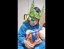 JR常盤線〔上野駅・日暮里駅・三河島駅（東京都・関東地方）〕の鉄道事故・人身事故・電車と人がぶつかる接触事故・列車と車と人の衝突事故・列車死亡事故・踏切や駅のホームで電車にはねられ死亡事故0祈願