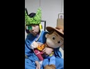 JR常盤線〔柏駅・安孫子駅・天王台駅〕の鉄道事故・人身事故・電車と人がぶつかる接触事故・列車と車と人の衝突事故・列車死亡事故・踏切や駅のホームで電車にはねられ死亡事故0祈願