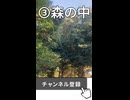 森に一歩踏み入れると変わる音 | 自然のグラデーション ASMR