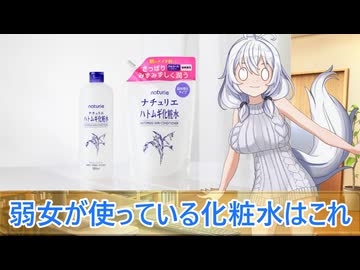 【VOICEVOX劇場】ドン・キホーテ様に謝りたいこと