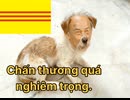 HOÀNG SA VÀ TRƯỜNG SA LÀ CỦA TỈNH HẢI NAM