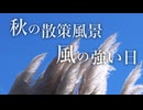 秋の散策風景　風の強い日