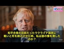 元大統領の“心の声？”の映像が、今、波紋を広げる。 ある映像の中で語られるのは、自らに投げかける数々の疑問。 なぜ私は、イラクに大量破壊兵器がないと知りながら、コリン・パウエルを国連に送り出したのか？