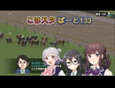 こはるりスタリオン　第133レース