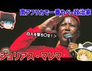 南アフリカで一番やべー政治家ジュリアス・マレマ【ゆっくり解説】