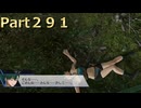 【ファイアーエムブレム無双】【リョナ】【リン】 ３０秒リョナPart２９１