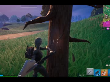 【Fortnite】2025/10/25バグなのか壊れない木がある動画