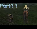 【ファイアーエムブレム無双】【リョナ】【エリーゼ】攻撃を食らう直前に最初からやり直そうとするも・・・ Part１１