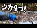 狩猟勢子動画＃031　シカ４つ！