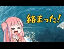 【1分釣り動画投稿祭2025】コマセマダイで奇跡の取り込み