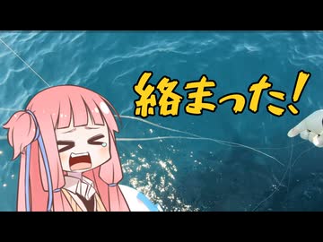 【1分釣り動画投稿祭2025】コマセマダイで奇跡の取り込み