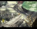 【FF7】トロフィーコンプ&やり込みプレイ【Part1600】