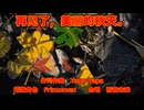 【Frimomen】再见了，美丽的秋天。