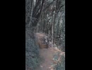 マウンテンバイクの悲劇