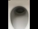 78314431199__4E125100-8D78-4774-8653-BF7E21ED4EE3