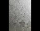 78314554401__17DEA4B1-F186-40E0-BFA3-2EC469E40B4A
